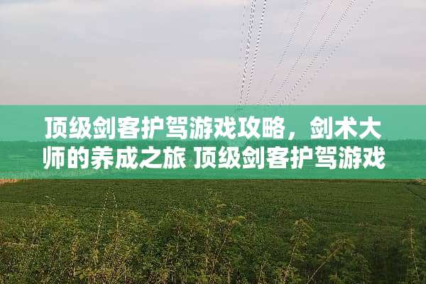 **剑客护驾游戏攻略，剑术大师的养成之旅**剑客护驾游戏攻略
