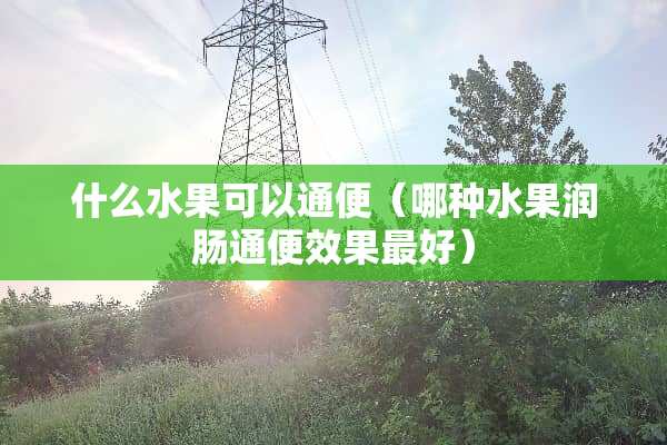什么水果可以通便（哪种水果润肠通便效果最好）