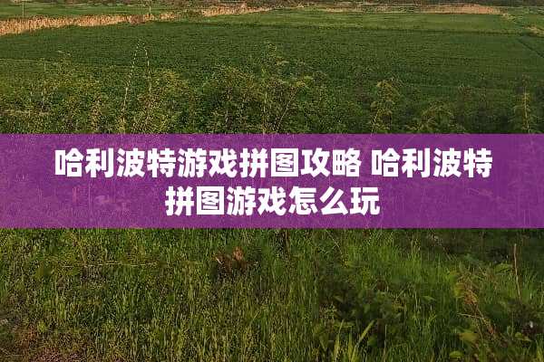 哈利波特游戏拼图攻略 哈利波特拼图游戏怎么玩