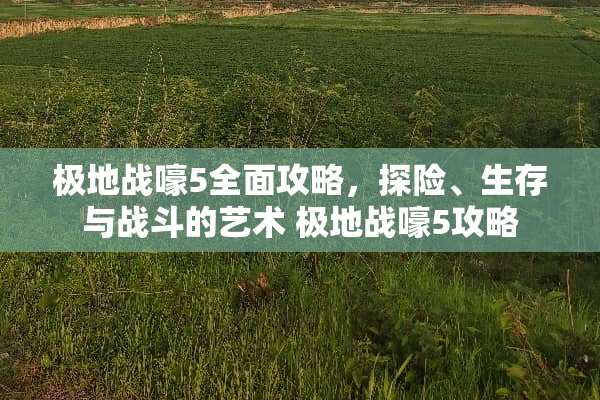 极地战嚎5全面攻略，探险、生存与战斗的艺术 极地战嚎5攻略