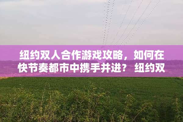 纽约双人合作游戏攻略，如何在快节奏都市中携手并进？ 纽约双人合作游戏攻略