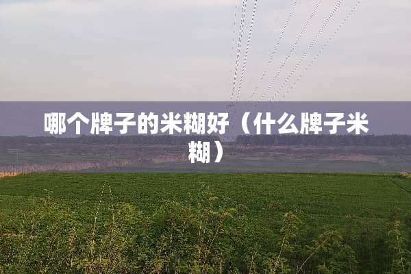 哪个牌子的米糊好（什么牌子米糊）