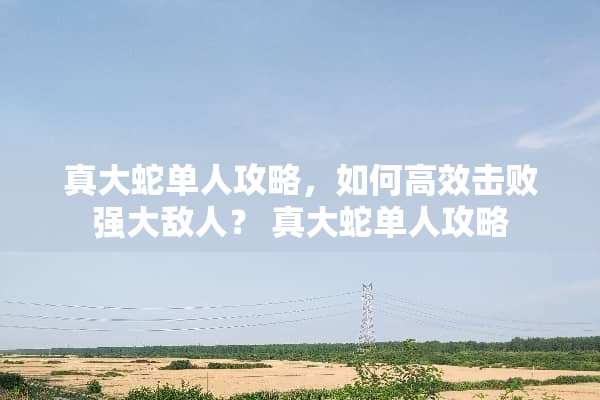 真大蛇单人攻略，如何高效击败强大敌人？ 真大蛇单人攻略