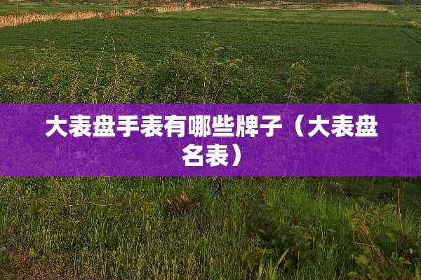 大表盘手表有哪些牌子（大表盘名表）