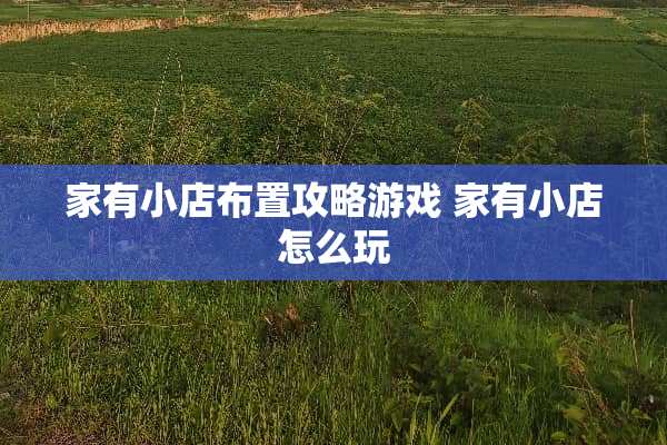 家有小店布置攻略游戏 家有小店怎么玩