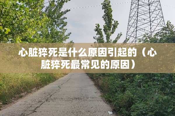 心脏猝死是什么原因引起的（心脏猝死最常见的原因）