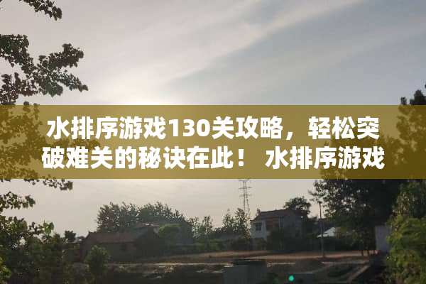 水排序游戏130关攻略，轻松突破难关的秘诀在此！ 水排序游戏130关攻略