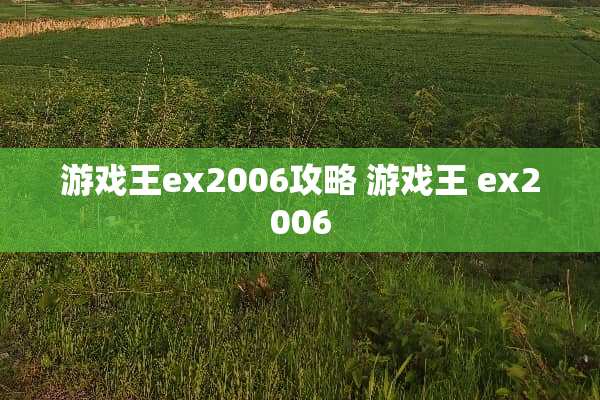 游戏王ex2006攻略 游戏王 ex2006