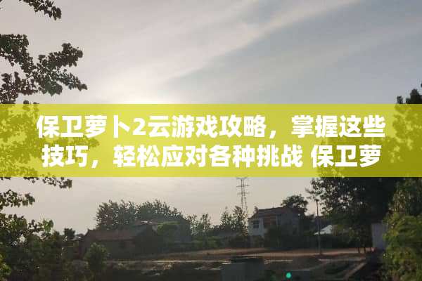 保卫萝卜2云游戏攻略，掌握这些技巧，轻松应对各种挑战 保卫萝卜2云游戏攻略