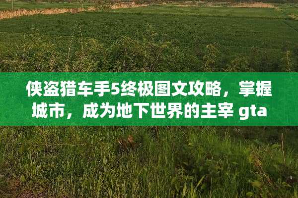 侠盗猎车手5终极图文攻略，掌握城市，成为**世界的主宰 gta5图文攻略