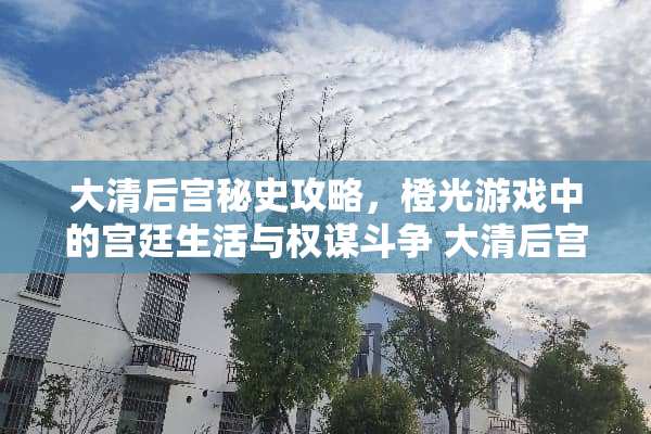 大清后宫秘史攻略，橙光游戏中的宫廷生活与权谋斗争 大清后宫攻略橙光游戏