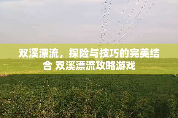 双溪漂流，探险与技巧的完美结合 双溪漂流攻略游戏