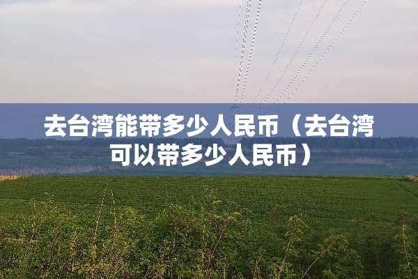 去台湾能带多少人民币（去台湾可以带多少人民币）