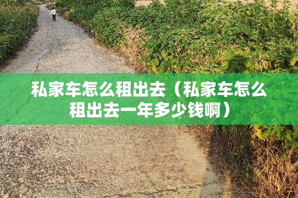 私家车怎么租出去（私家车怎么租出去一年多少钱啊）