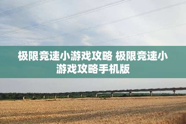 极限竞速小游戏攻略 极限竞速小游戏攻略手机版