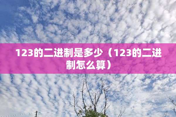 123的二进制是多少（123的二进制怎么算）