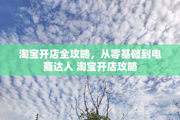 淘宝开店全攻略，从零基础到电商达人 淘宝开店攻略