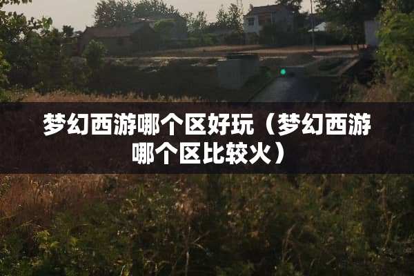 梦幻西游哪个区好玩（梦幻西游哪个区比较火）