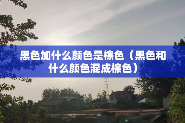 黑色加什么颜色是棕色（黑色和什么颜色混成棕色）