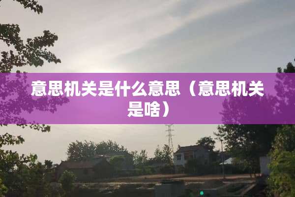 意思机关是什么意思（意思机关是啥）