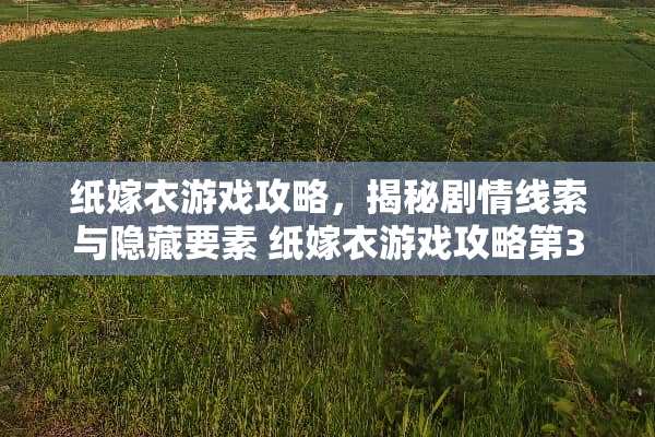 纸嫁衣游戏攻略，揭秘剧情线索与隐藏要素 纸嫁衣游戏攻略第3