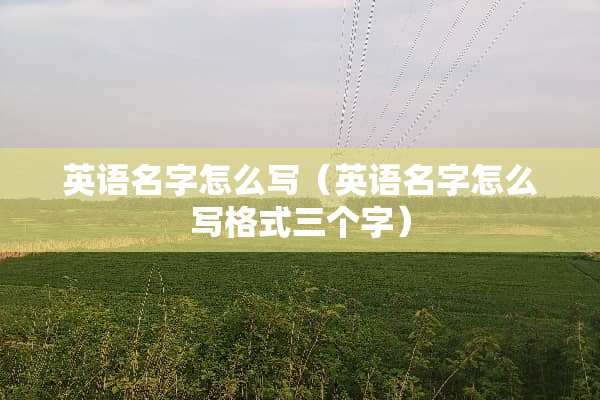 英语名字怎么写（英语名字怎么写格式三个字）