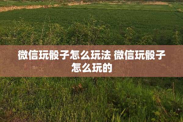 微信玩**怎么玩法 微信玩**怎么玩的