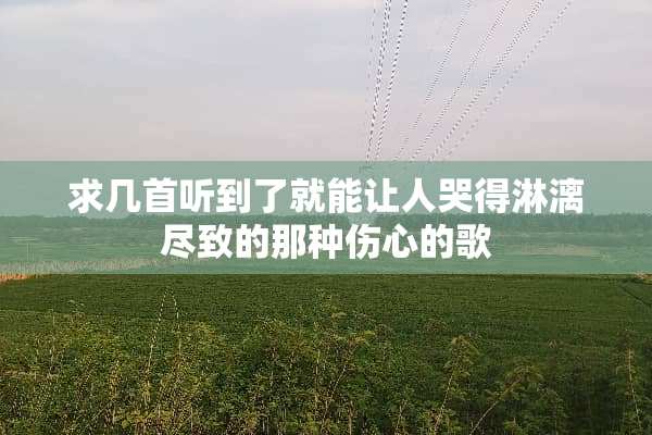 求几首听到了就能让人哭得淋漓尽致的那种伤心的歌