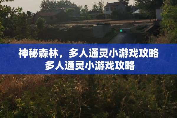 神秘森林，多人通灵小游戏攻略 多人通灵小游戏攻略