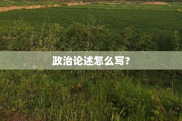 **论述怎么写？