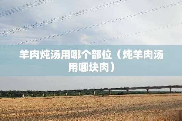 羊肉炖汤用哪个部位（炖羊肉汤用哪块肉）