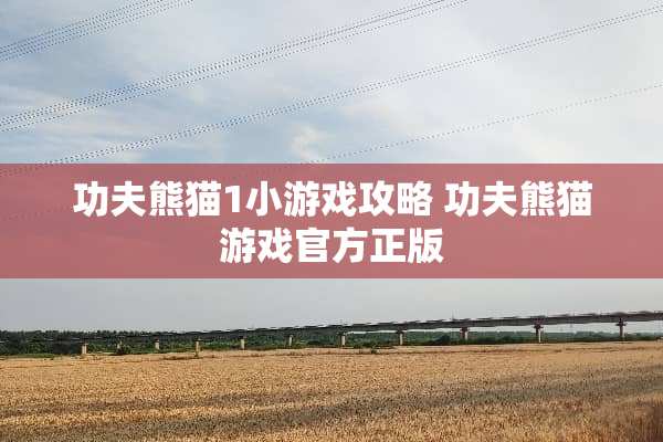 功夫熊猫1小游戏攻略 功夫熊猫游戏官方正版