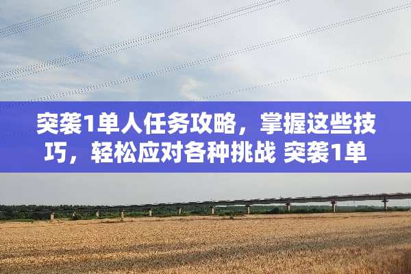 突袭1单人任务攻略，掌握这些技巧，轻松应对各种挑战 突袭1单人任务攻略