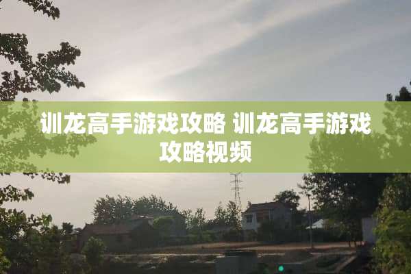 训龙高手游戏攻略 训龙高手游戏攻略视频