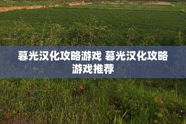 暮光汉化攻略游戏 暮光汉化攻略游戏推荐