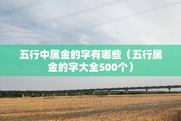 五行中属金的字有哪些（五行属金的字大全500个）