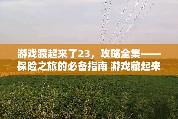 游戏藏起来了23，攻略全集——探险之旅的必备指南 游戏藏起来了23攻略