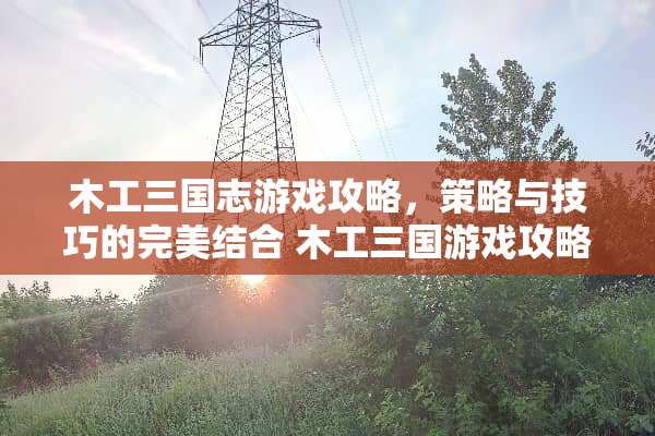 木工三国志游戏攻略，策略与技巧的完美结合 木工三国游戏攻略