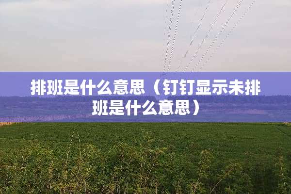 排班是什么意思（钉钉显示未排班是什么意思）