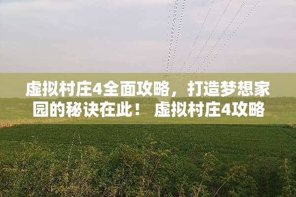 虚拟村庄4全面攻略，打造梦想家园的秘诀在此！ 虚拟村庄4攻略