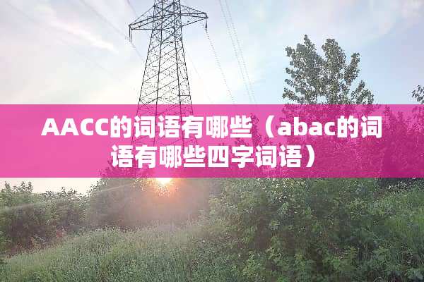AACC的词语有哪些（abac的词语有哪些四字词语）