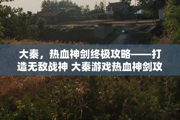 大秦，热血神剑终极攻略——打造无敌战神 大秦游戏热血神剑攻略