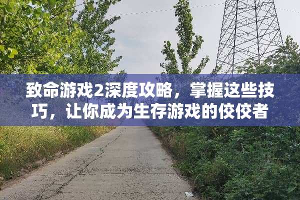 致命游戏2深度攻略，掌握这些技巧，让你成为生存游戏的佼佼者！ 致命游戏2攻略