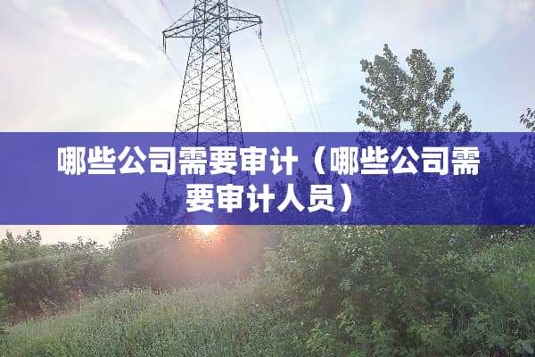 哪些公司需要审计（哪些公司需要审计人员）