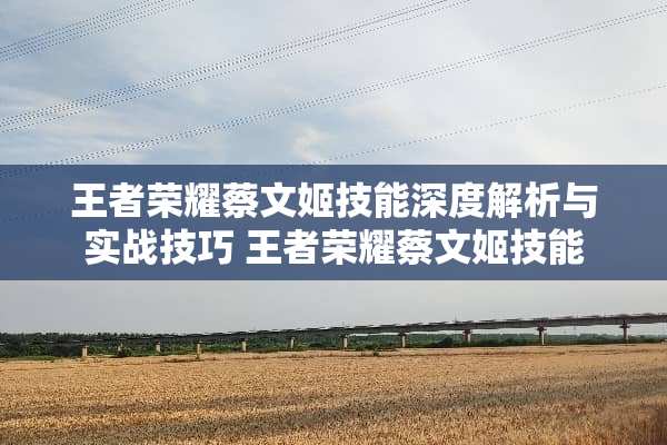 王者荣耀蔡文姬技能深度解析与实战技巧 王者荣耀蔡文姬技能