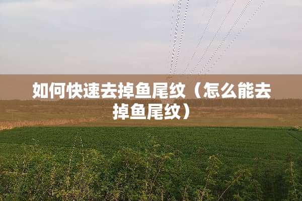 如何快速去掉鱼尾纹（怎么能去掉鱼尾纹）