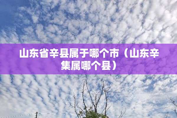 山东省辛县属于哪个市（山东辛集属哪个县）