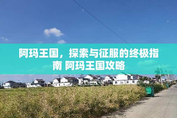 阿玛王国，探索与征服的终极指南 阿玛王国攻略
