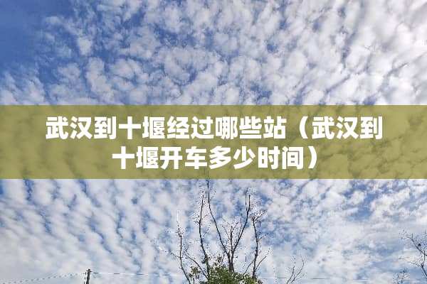 武汉到十堰经过哪些站(武汉到十堰开车多少时间) 武汉到十堰经过哪些站(武汉到十堰开车多少时间)