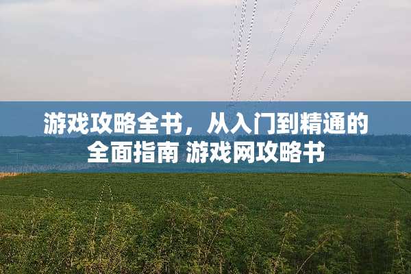 游戏攻略全书,从入门到精通的全面指南 游戏网攻略书 游戏攻略全书,从入门到精通的全面指南 游戏网攻略书